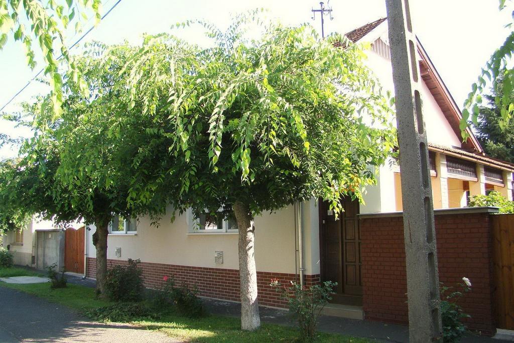 Hajnal Apartman Villa Gyula Room photo